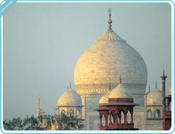 Taj Mahal Dome